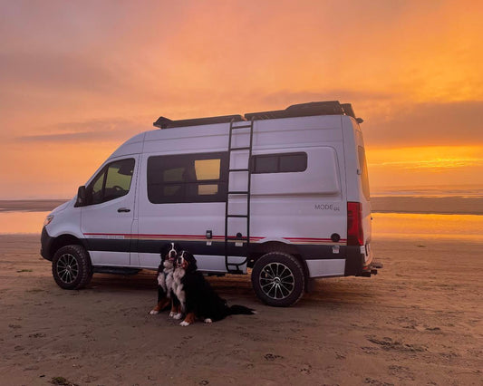#InfluencerStories: A PNW trek with two pups